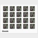 Search for double trouble stickers Twins