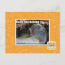 Search for rude postcards I can has cheezburger