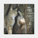 Search for cat profile magnets Close up