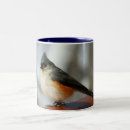 Search for tufted mugs Nature