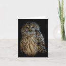 Search for hoot cards invites Brown