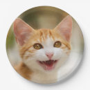 Search for cat face plates Funny