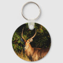 Search for antelope key rings Safari