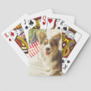 Search for corgi playing cards Dog
