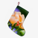 Search for peach christmas stockings Flower
