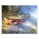 Search for beaver art River