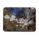 Search for magic mushroom magnets Mushrooms