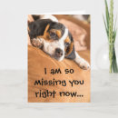 Search for beagles cards Beagle puppy