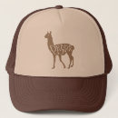Search for llamas with hats For her