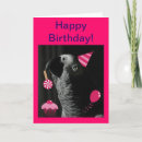 Search for african grey birthday cards Parrot