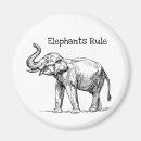 Search for endangered species magnets Conservation