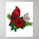 Search for christmas cardinal art Poinsettia