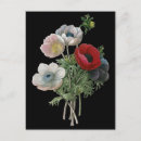 Search for 1833 postcards Botany