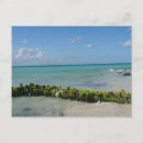 Search for serenity postcards Beautiful