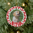 Search for new puppy christmas tree decorations Pets