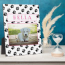 Search for photo pet memorials Memory