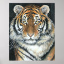 Search for exotic cats posters Tiger
