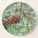 Search for cone barware Evergreen