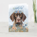 Search for german shorthaired pointer cards Pointers