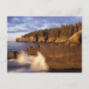 Search for acadia national park postcards Otter cliffs