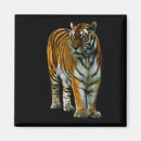 Search for carnivore magnets Feline