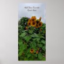 Search for sunflower quote posters Photography