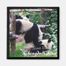 Search for sanctuary magnets Travel