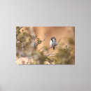 Search for throat canvas prints Bird
