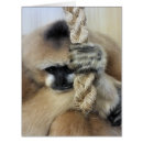 Search for gibbon cards Monkey