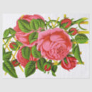 Search for salmon pink tissue paper Coral