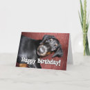 Search for doberman birthday cards Animal