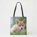 Search for yard bags Pet