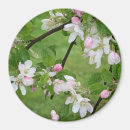 Search for green apple magnets Orchard