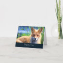 Search for wildlife cards Nature