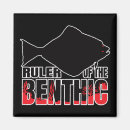 Search for halibuts Flatfish