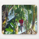 Search for fruit tree mousepads Garden