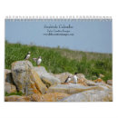 Search for seal calendars Wildlife photography