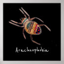 Search for arachnids posters Tarantula