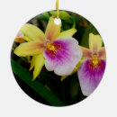 Search for gardener christmas tree decorations Nature