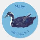 Search for black duck stickers Bird