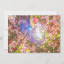 Search for sun flower invitations Pink