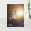 Search for snowdrop cards Garden