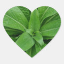 Search for plants heart stickers Green