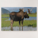 Search for outdoor puzzles Scenic