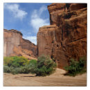 Search for arizona tiles Scenic
