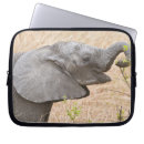 Search for herbivore cases Fauna