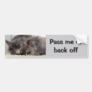 Search for pass bumper stickers Cute