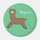 Search for alpaca magnets Funny