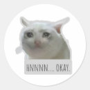 Search for funny cat meme stickers Humor