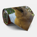 Search for friendly ties Pet